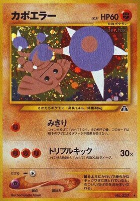 Hitmontop, Crossing the Ruins...