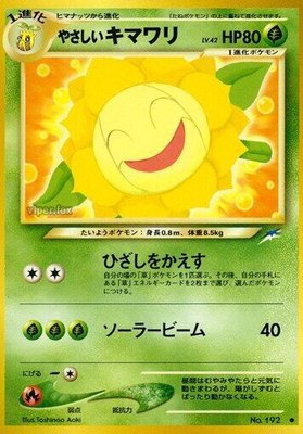 Light Sunflora, Darkness, and to Light...