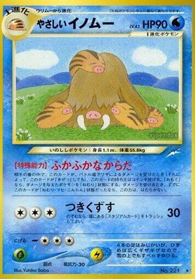 Light Piloswine, Darkness, and to Light...