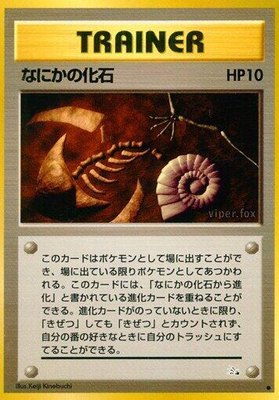Mysterious Fossil, Mystery of the Fossils