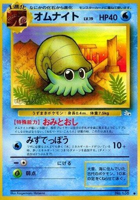 Omanyte, Mystery of the Fossils
