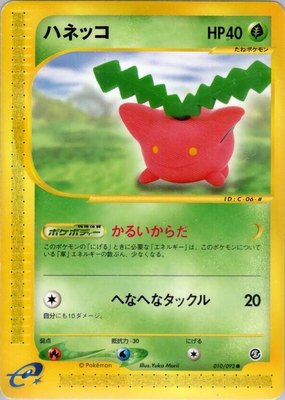Hoppip, The Town on No Map