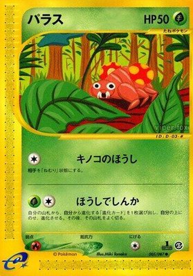 Paras, Wind from the Sea