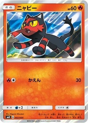 Litten, Pikachu's New Friends