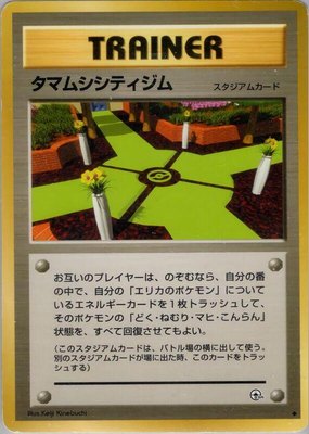 Celadon City Gym, Leaders' Stadium