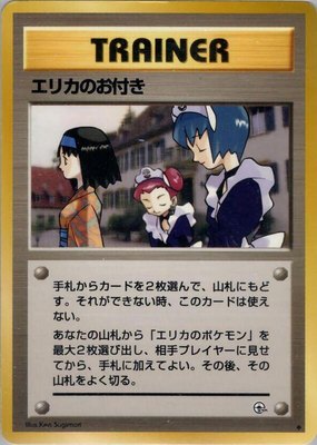 Erika's Maids, Leaders' Stadium
