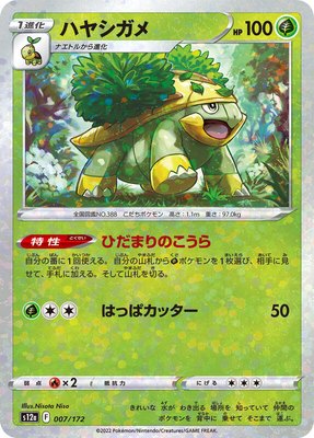 Grotle (Mirror Holofoil), VSTAR Universe