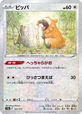 Bidoof (Mirror Holofoil), VSTAR Universe
