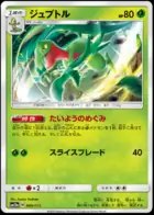 Grovyle (Mirror Holofoil), TAG TEAM GX: Tag All Stars