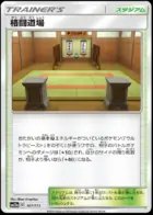 Martial Arts Dojo (Mirror Holofoil), TAG TEAM GX: Tag All Stars