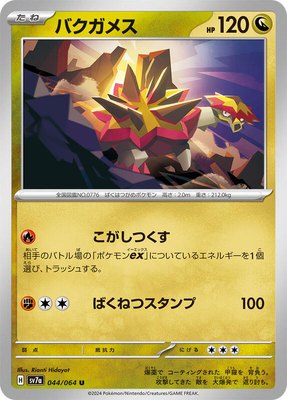 Turtonator, Paradise Dragona