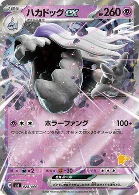 Houndstone ex, Battle Academy