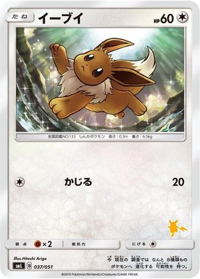 Eevee, Sun & Moon Family Pokemon Card Game