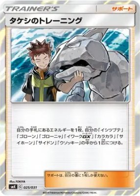 Brock's Training, Trainer Battle Decks