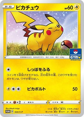 Pikachu -P, Sword & Shield Promos