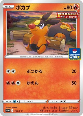 Tepig -P, Sword & Shield Promos