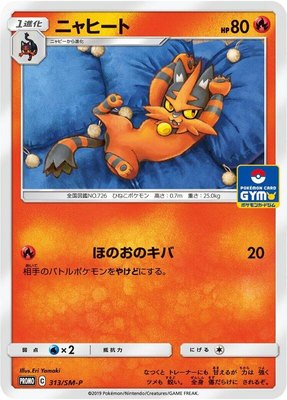 Torracat -P, Sun & Moon Promos