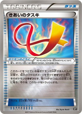 Focus Sash, The Best of XY
