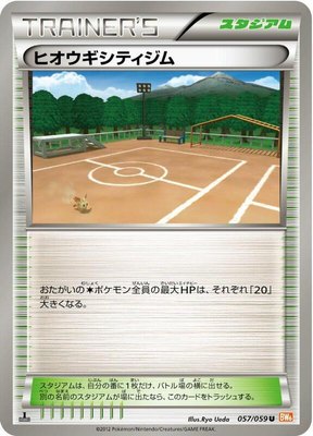 Aspertia City Gym, Cold Flare