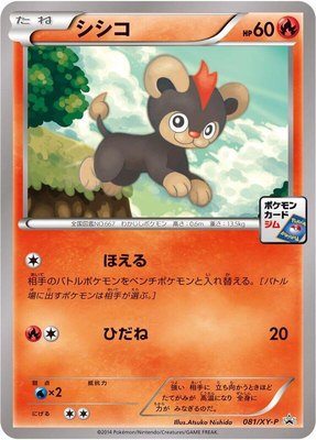 Litleo -P, XY Promos