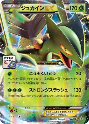 Sceptile EX -P, XY Promos