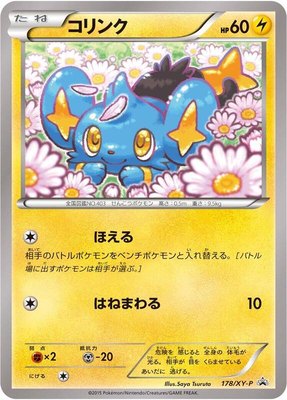 Shinx -P, XY Promos