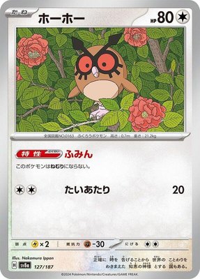 Hoothoot, Terastal Fest ex