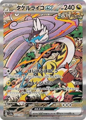 Raging Bolt ex, Terastal Fest ex
