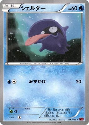 Shellder, Collection Y