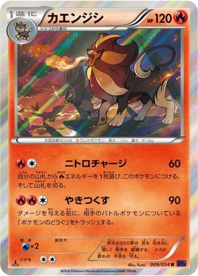 Pyroar, Fever-Burst Fighter