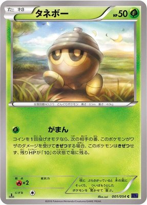 Seedot, Fever-Burst Fighter