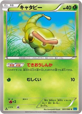 Caterpie, Wild Blaze