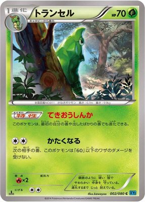 Metapod, Wild Blaze