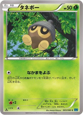 Seedot, Wild Blaze