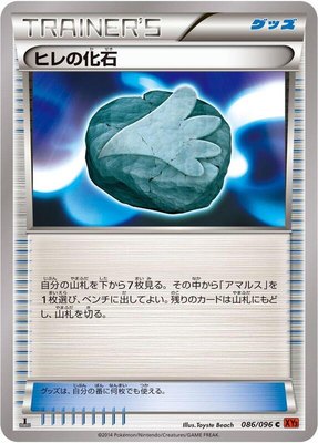 Sail Fossil, Rising Fist
