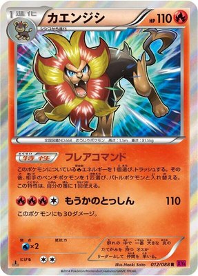 Pyroar, Phantom Gate