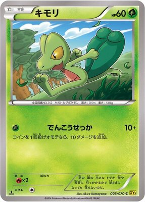 Treecko, Gaia Volcano