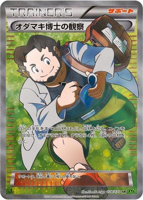 Professor Birch's Observations, Tidal Storm