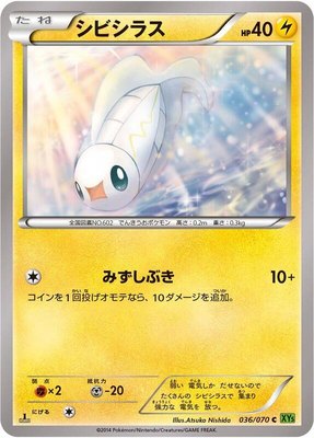 Tynamo, Tidal Storm