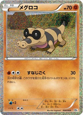 Sandile, Journey Partners Collection Sheet