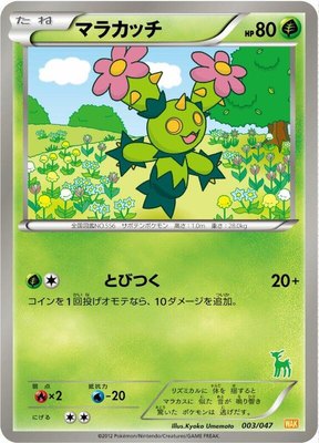 Maractus, Everyone's Exciting Battle