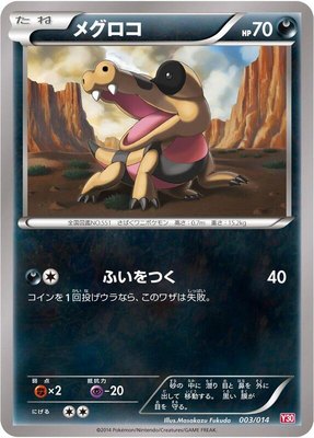 Sandile, Yveltal Half Deck