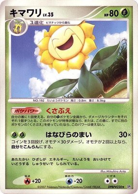 Sunflora, Shining Darkness