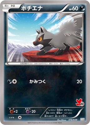 Poochyena, XY Beginning Set