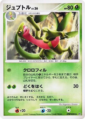 Grovyle, Dawn Dash