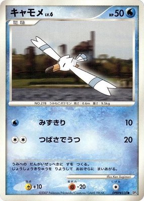Wingull, Dawn Dash