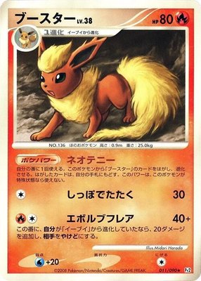 Flareon, Bonds to the End of Time