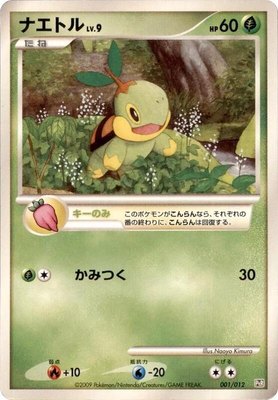Turtwig, Regigigas LV.X Collection Pack