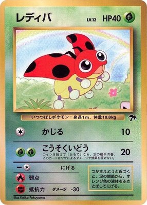 Ledyba from Japanese Southern Island