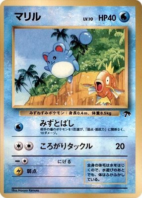 Marill from Japanese Southern Island